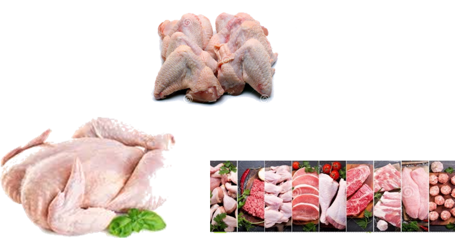 Global Commodities Product Catalog - Frozen Chicken Supply