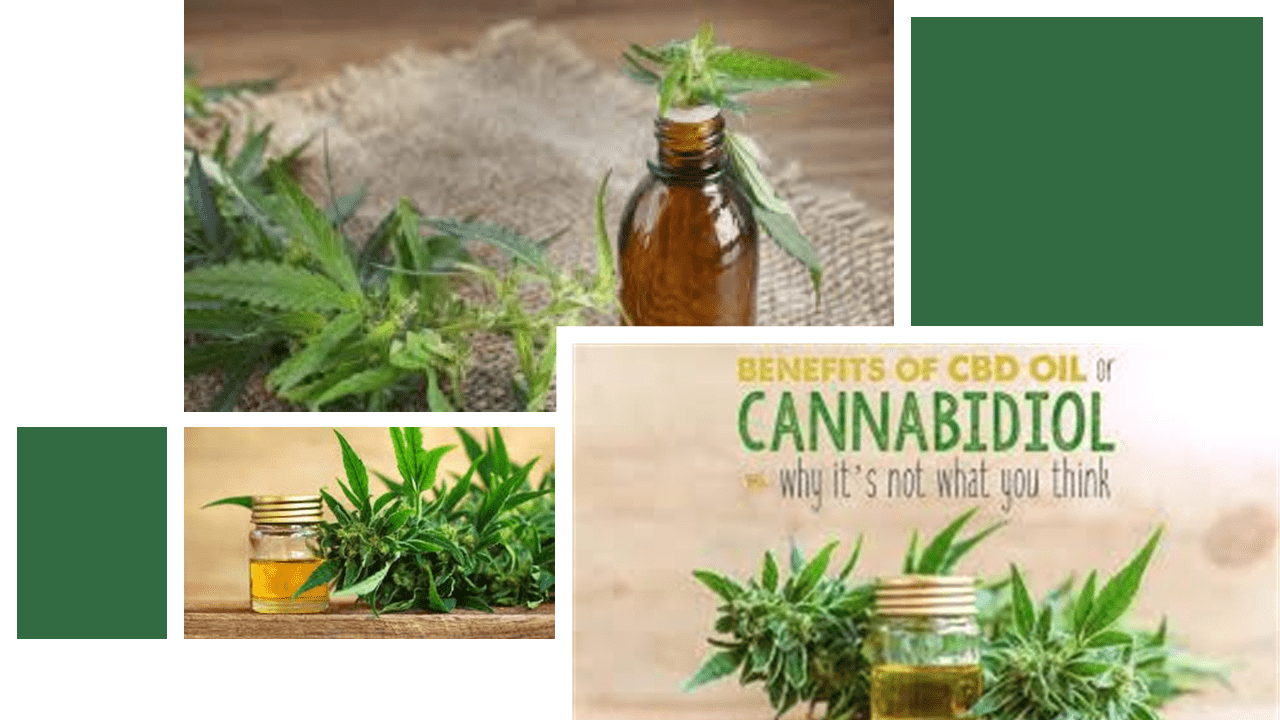 Global Commodities Product Catalog - Health CBD Drink Market