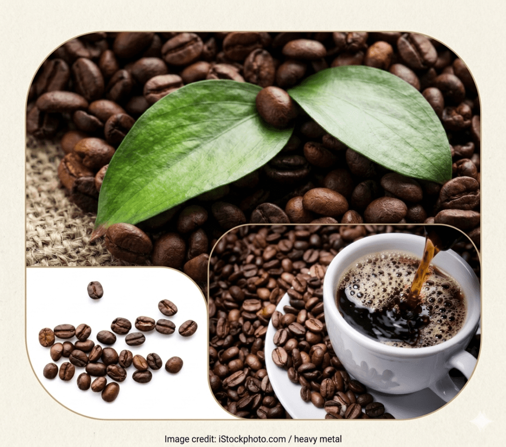 Global Coffee Market Expertly sun-dried coffee cherries, processed with traditional methods to enhance natural sweetness and fruity undertones - Shira Nati Ltd.