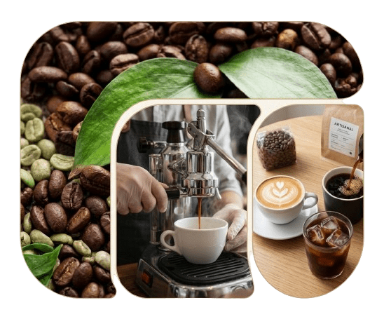Global Commodities Product Catalog - Coffee Bean Trading