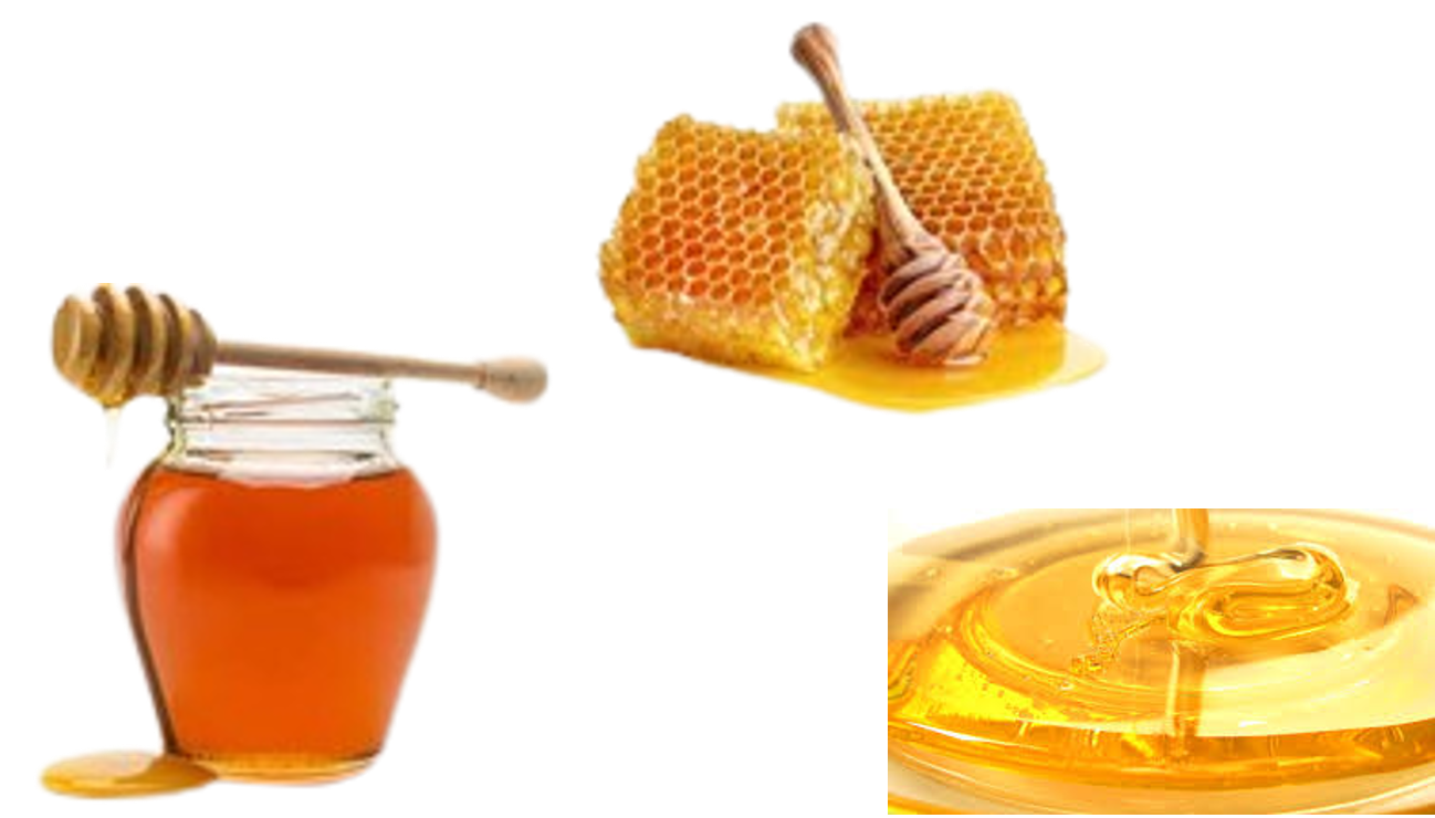 Global Commodities Product Catalog - Natural Honey Export