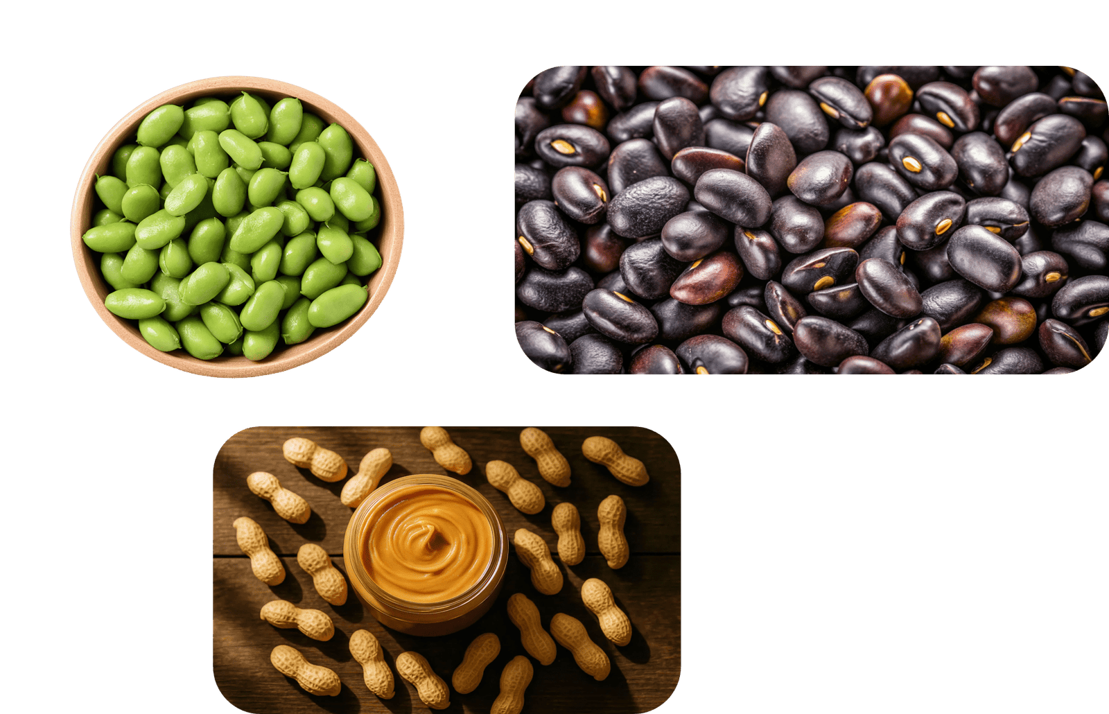 Global Commodities Product Catalog - Legumes and Pulses
