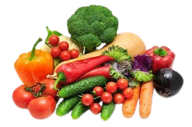 Global Commodities Product Catalog - Fresh Vegetables Supply