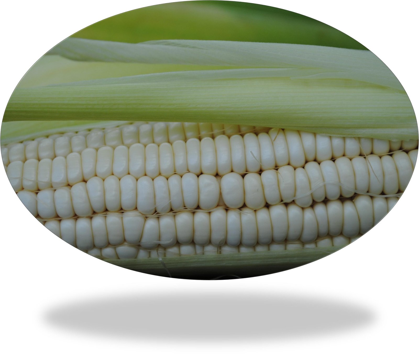 White Corn Non GMO