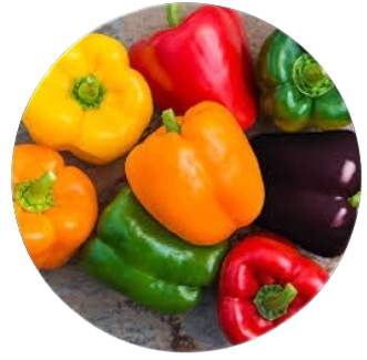 Bell Pepper Export Quality