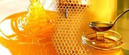 Premium Honey Bulk Supply Honey Specifications