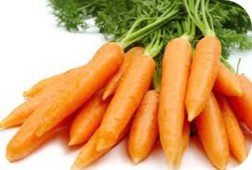Vegetable Export Specifications