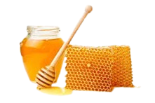 Pure Natural Honey Specification
